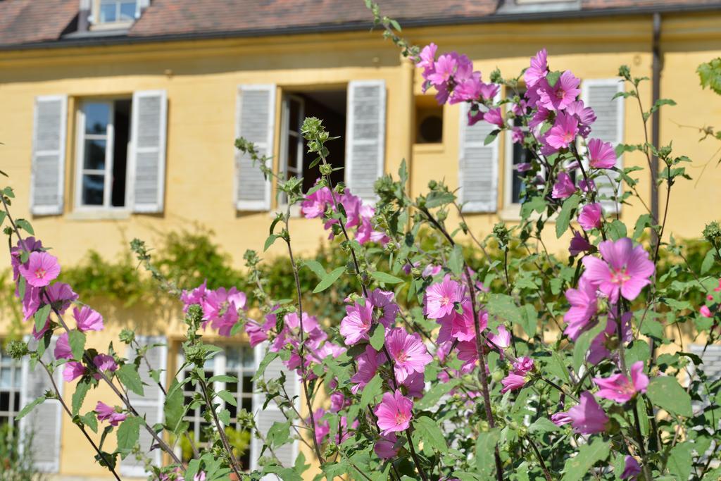 Charmilles Des Cordeliers Bed & Breakfast Paris Dış mekan fotoğraf