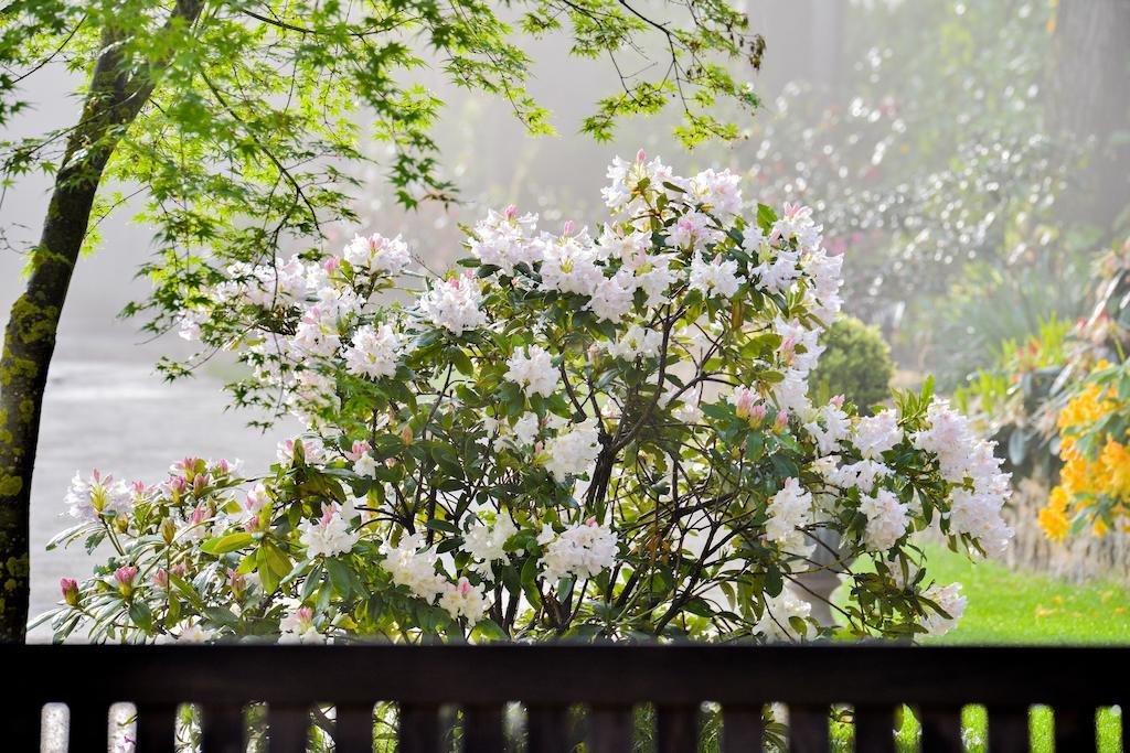 Charmilles Des Cordeliers Bed & Breakfast Paris Dış mekan fotoğraf