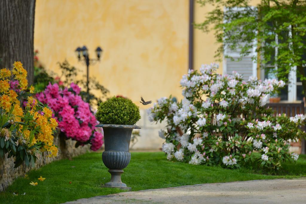 Charmilles Des Cordeliers Bed & Breakfast Paris Dış mekan fotoğraf